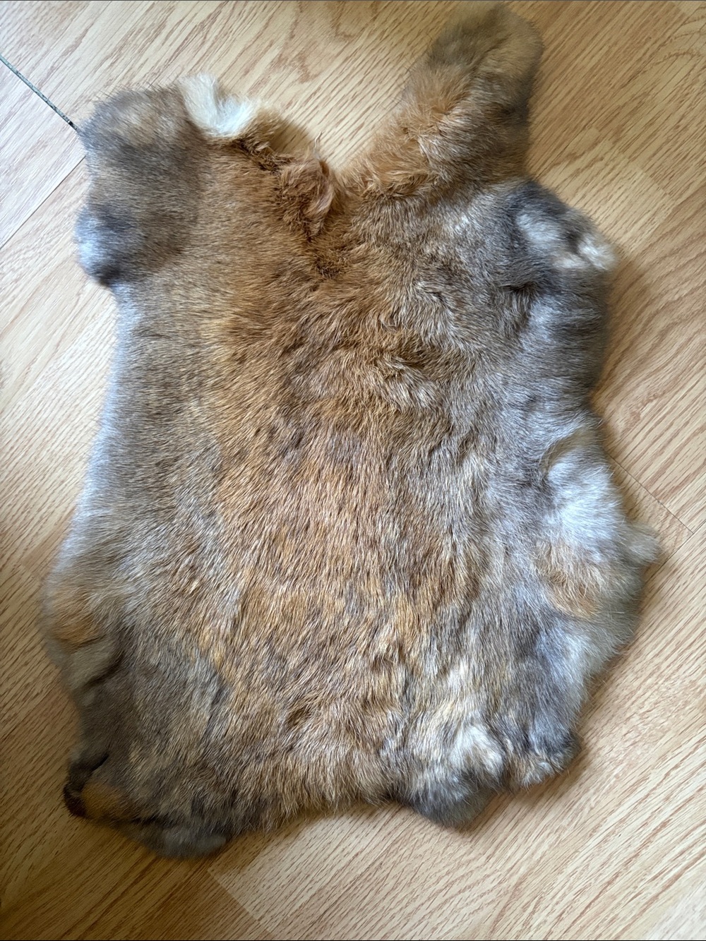 B0120 rabbit pelt
